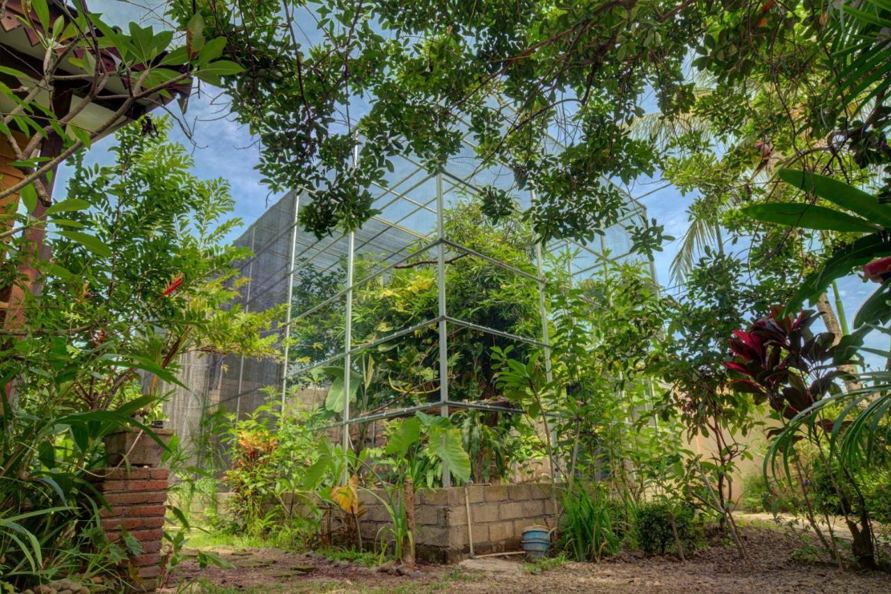 Bata Merah Homestay Banyuwangi  Exterior foto