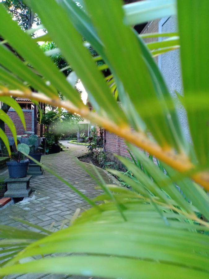 Bata Merah Homestay Banyuwangi  Exterior foto
