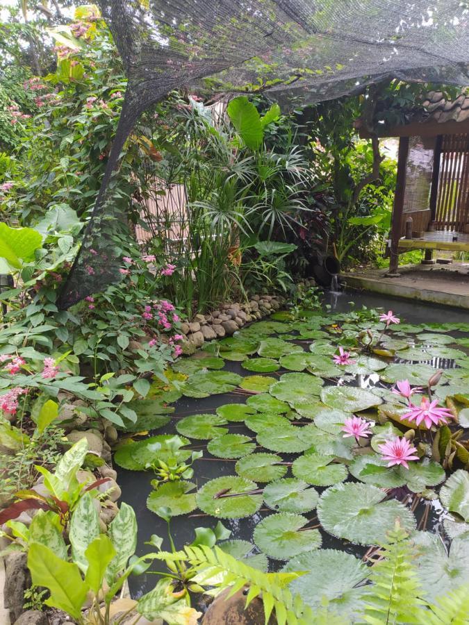 Bata Merah Homestay Banyuwangi  Exterior foto
