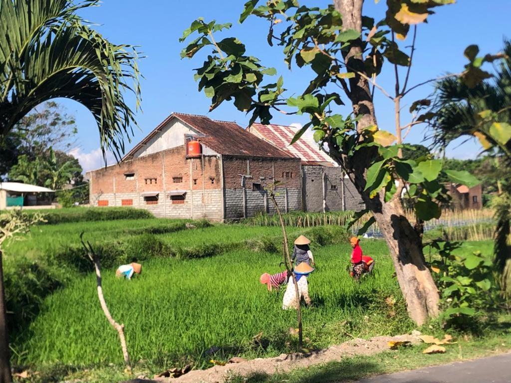 Bata Merah Homestay Banyuwangi  Exterior foto